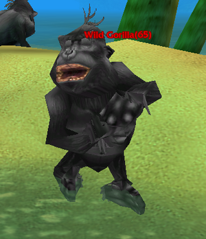 Wild Gorilla