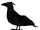 Crow Full.png