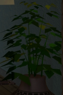Organic plastic.png