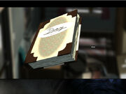 Diary