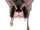 ClaraPet.PNG