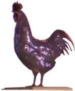 Чёрный петушок.png