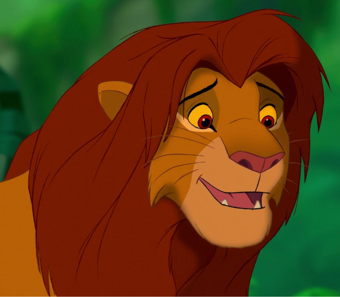 Simba | TLK Characters Wiki | Fandom