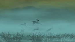 Skoczniki antylopie.jpeg (133 KB) Skoczniki antylopie - uniwersum