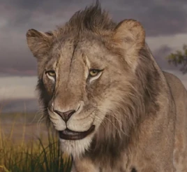 Film Mufasa - nastoletni