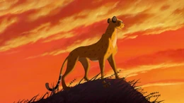 Gepard KL.jpeg (206 KB) Gepard grzywiasty - uniwersum