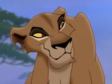 Zira