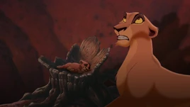 Simbas pride 1709 zira kovu