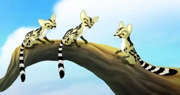 Żenety LS.png (546 KB) Żenety zwyczajne - uniwersum