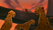 Gepardy w Królu Lwie 2