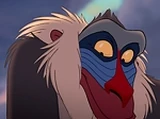 Rafiki