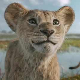 Film Mufasa - lwiątko