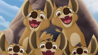 Bracia Dogo