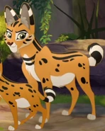 Samica serwal.png (167 KB) Samica serwala