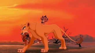 Zirastride.png (299 KB)