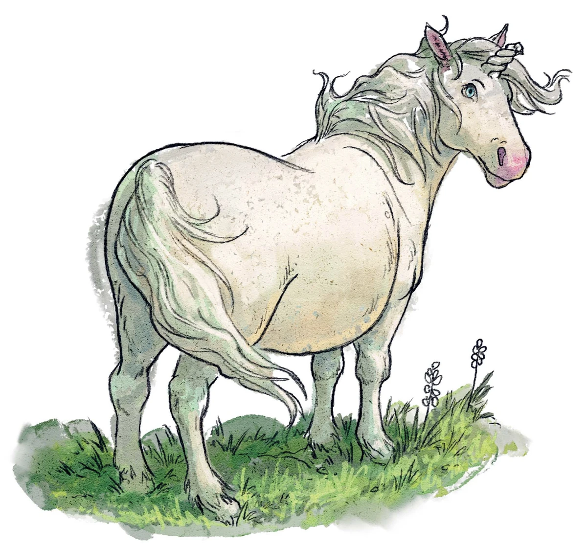 Cornelius The Land Of Stories Wiki Fandom