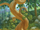 Curvy Tree (place)