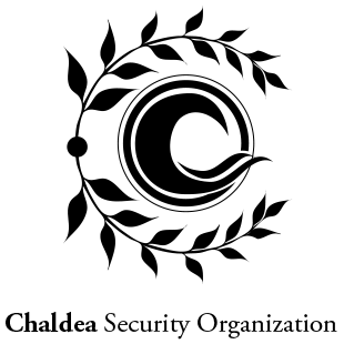 Chaldea Security Organization Type Moon Fate Fanon Wiki Fandom