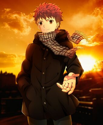Featured image of post Shirou Fate They have been indexed as male teen with yellow eyes and orange hair that is to ears length