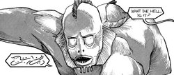 Mer 4.png