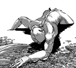 Mer 3.png