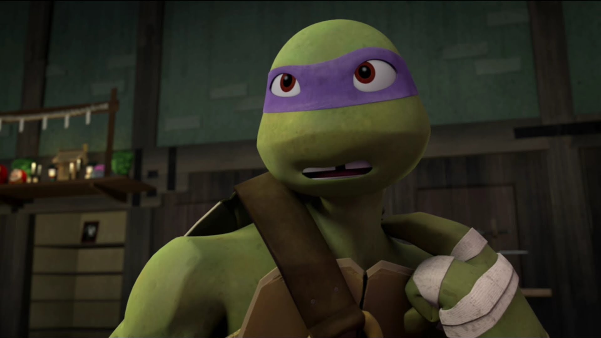 Donatello TMNT Series Wikia Fandom