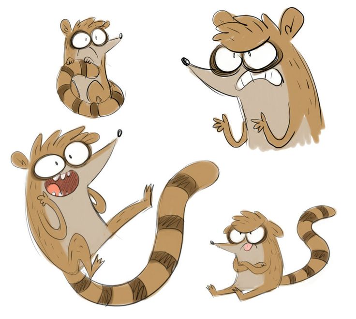 rigby raccoon face