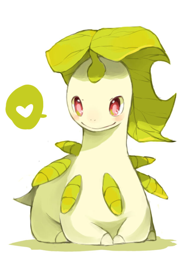 Shaymin, Pokémon Wiki, FANDOM powered by Wikia