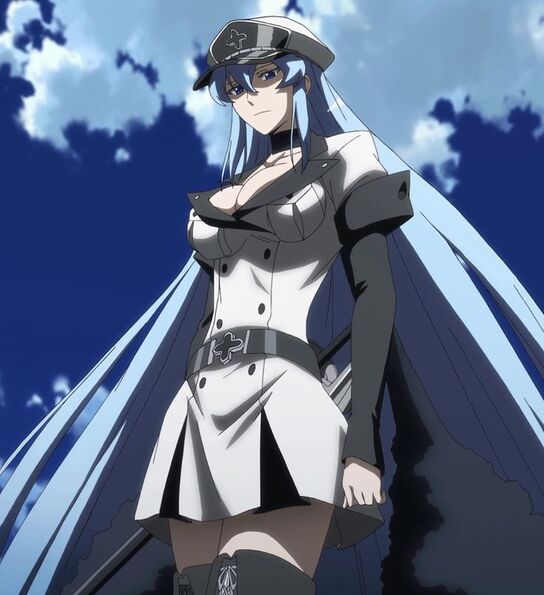 Wikipewibu on X: Esdeath, Akame Ga Kill  / X