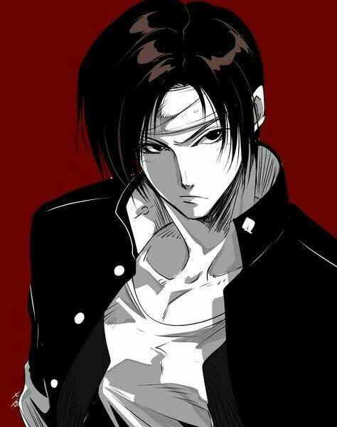 Kyo Kusanagi | TMNT X Pokemon Wiki | Fandom