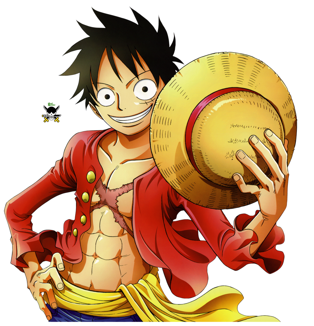 Monkey D. Luffy/Misc., One Piece Wiki