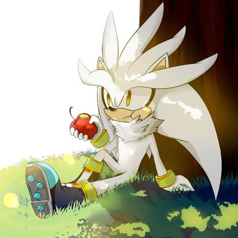 Silver the Hedgehog, Sonic x Season 4 Wiki