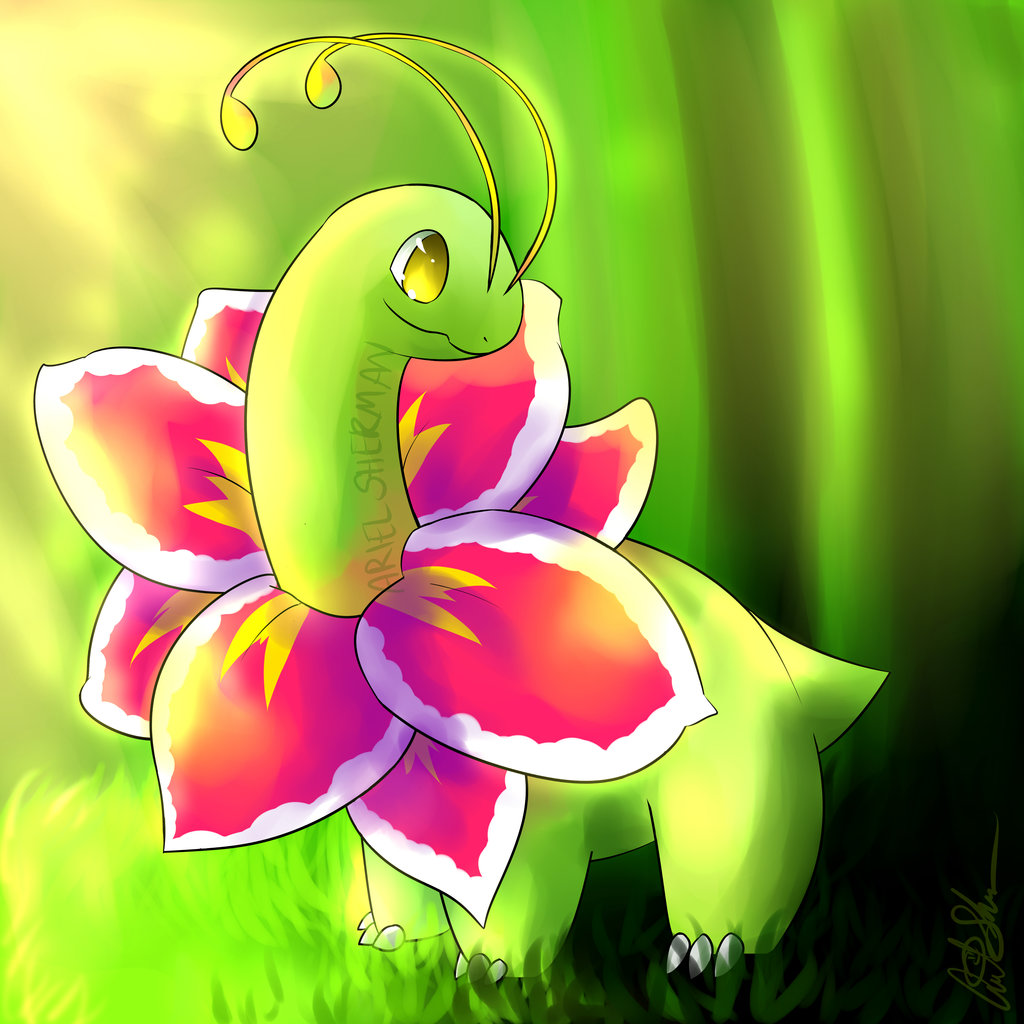 meganium mega evolution