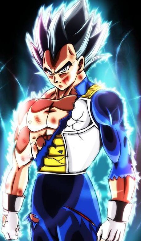 Pokemon Prince Vegeta 12