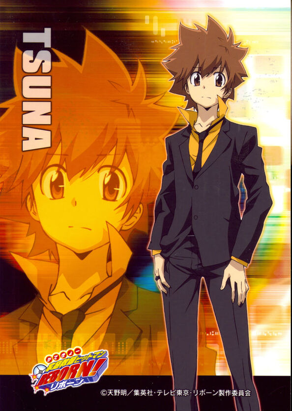 Katekyo Hitman Reborn!: The Case Of Tsunayoshi Sawada