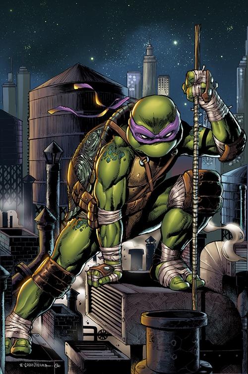 Donatello (Rise of the TMNT), TMNTPedia