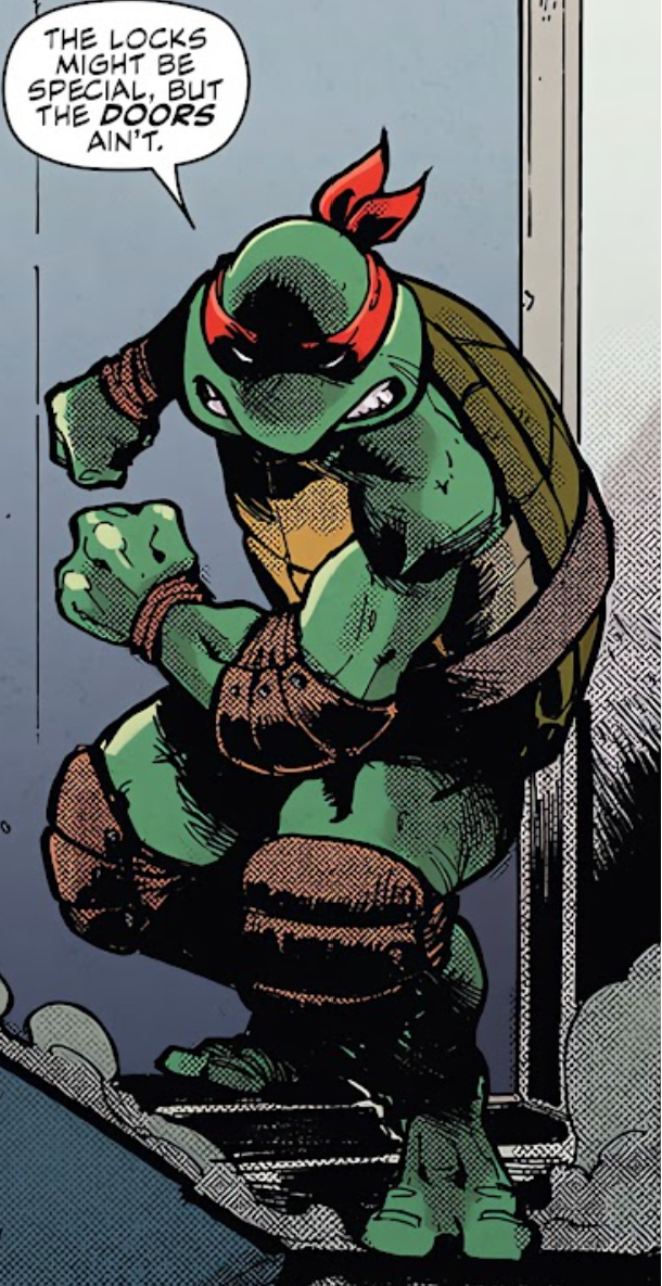 STRANGER THINGS and TEENAGE MUTANT NINJA TURTLES Comic Book