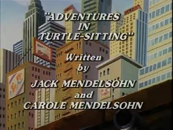 Adventures in Turtle-Sitting