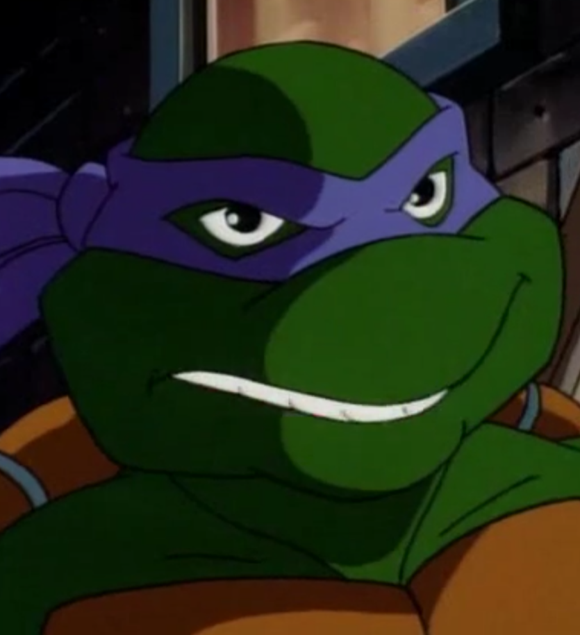 donatello ninja turtle cartoon