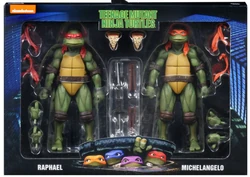 Raphael and Michelangelo 2020 release