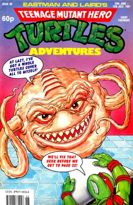 TMHT-iss38-cvr-Fleetway