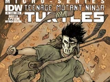Casey Jones (IDW issue)