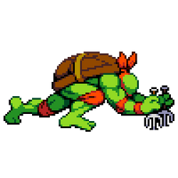 Raph Special Dive2