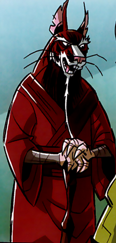 Splinter (Teenage Mutant Ninja Turtles) - Wikipedia