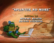 Splinter No More 1