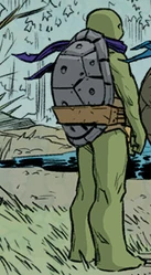 Different appearance at Splinter's funeral.