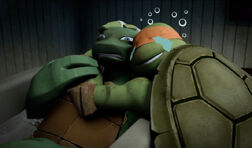 Mikey-and-Leo-20-TMNT