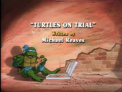 Turtles on Trial 1987 TV series