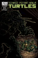 TMNT 15B.jpg (905 KB) Issue 15 Cover B