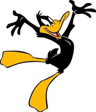 Daffy Duck | Animaniacs Wiki | Fandom